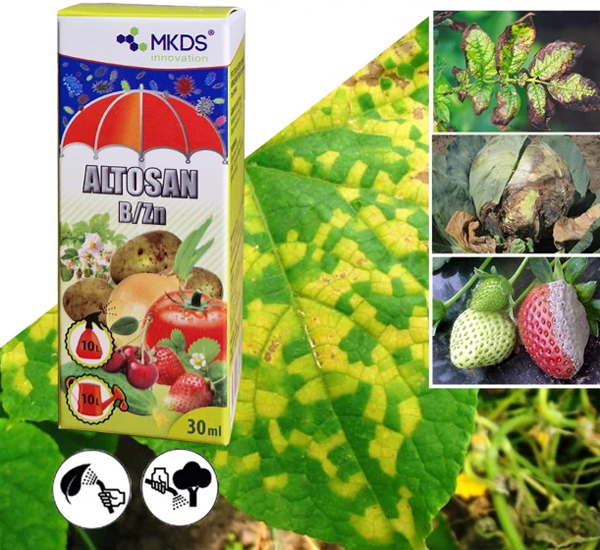 Plants solution with microelements Boron + Zinc - Altosan B/Zn
